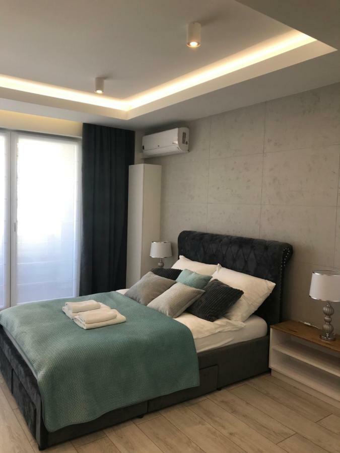 Dbd Gray Turkus * Szczecin